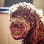 短发的个人资料头像