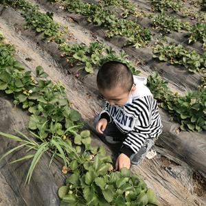 橙子聊体育头像