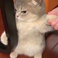 单灬身汉头像