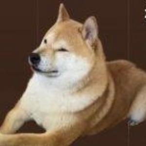恨核平头像
