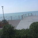 不知南北找东西的个人资料头像