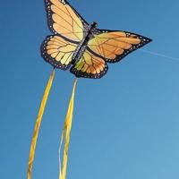 自由的风筝a6头像