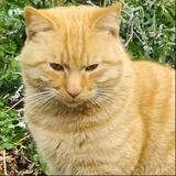 用户47121667头像