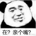 壮志凌浩头像