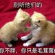 AXiaO明头像