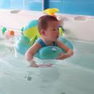 绿萝卜的个人资料头像