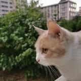 李艳红829头像
