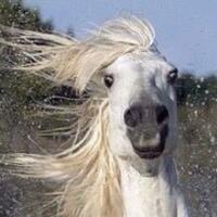 周忽热苏坡头像