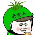 拱不到白菜的猪不是猪头像