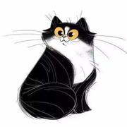 猿妙不可言的个人资料头像