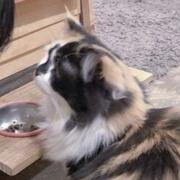 诺然288的个人资料头像