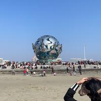 W生气不如争气头像