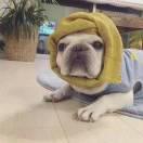 前端爬坑工程师的个人资料头像