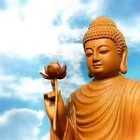 草原上的太阳0C8o头像