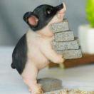 搬砖的老刘的个人资料头像