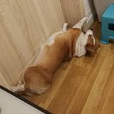 用户6281733828570头像