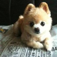 为爱守候1396头像