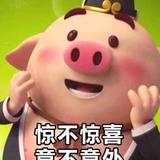 虎飞云转头像
