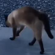 WA噻的个人资料头像