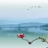 A易修哥41头像