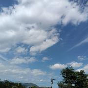 千手的个人资料头像