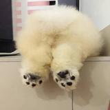 用户4715917127531头像