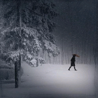 传文瓜子逆风头像