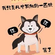 秋夜雨的个人资料头像