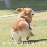 今晚讲嘢夜唔夜2q2Y头像
