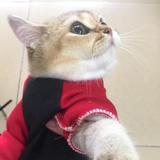 @条街我最型头像