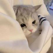 yanyy的个人资料头像