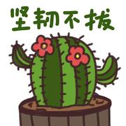 Iced_Sheep的个人资料头像