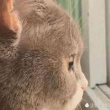 用户2175207994524头像