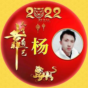 就是杨老杨头像