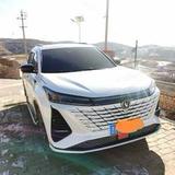 乘风破浪的小红花LdH头像