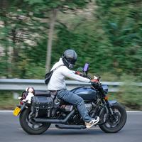 用户3244185446637头像