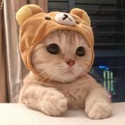 _碱式碳酸铜_的个人资料头像