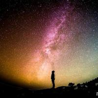 智勇双全晚风TfS头像