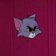 vptvpt的个人资料头像