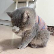 呆小七的个人资料头像