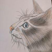 飞翔的毛辣蝈头像