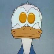 土豆想发芽的个人资料头像