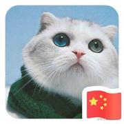 Lovely小猫的个人资料头像