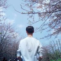 海蓝时见星头像