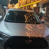 yoyo掂过碌蔗头像