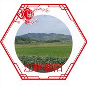 加菲猫617的个人资料头像