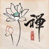 路大大603头像