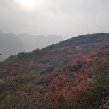 蓝军7272头像
