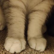 氵湫湫的个人资料头像