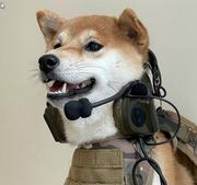 Staven的个人资料头像